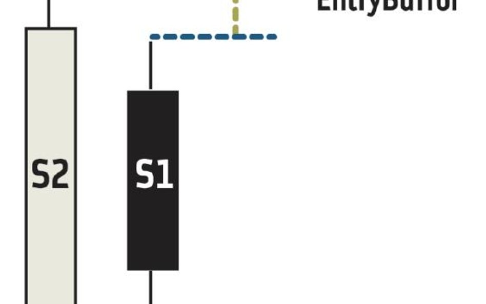 Na czym polega parametryzacja automatycznej strategii inwestycyjnej?