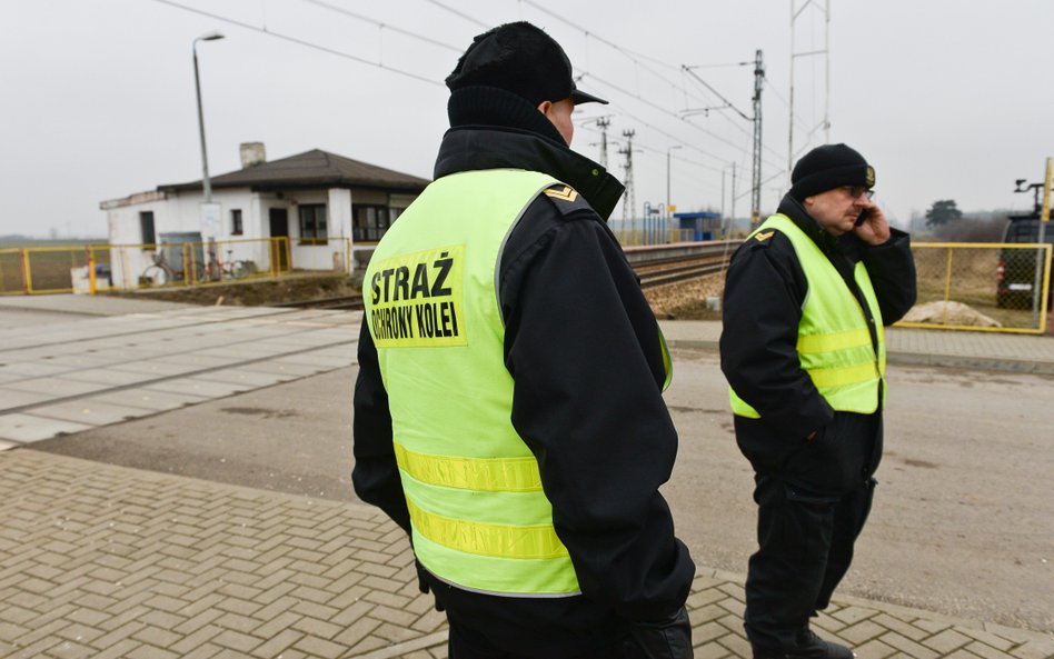 Obywatel Mołdawii został zatrzymany w Puławach po zatrzymaniu pociągu towarowego do Dorohuska