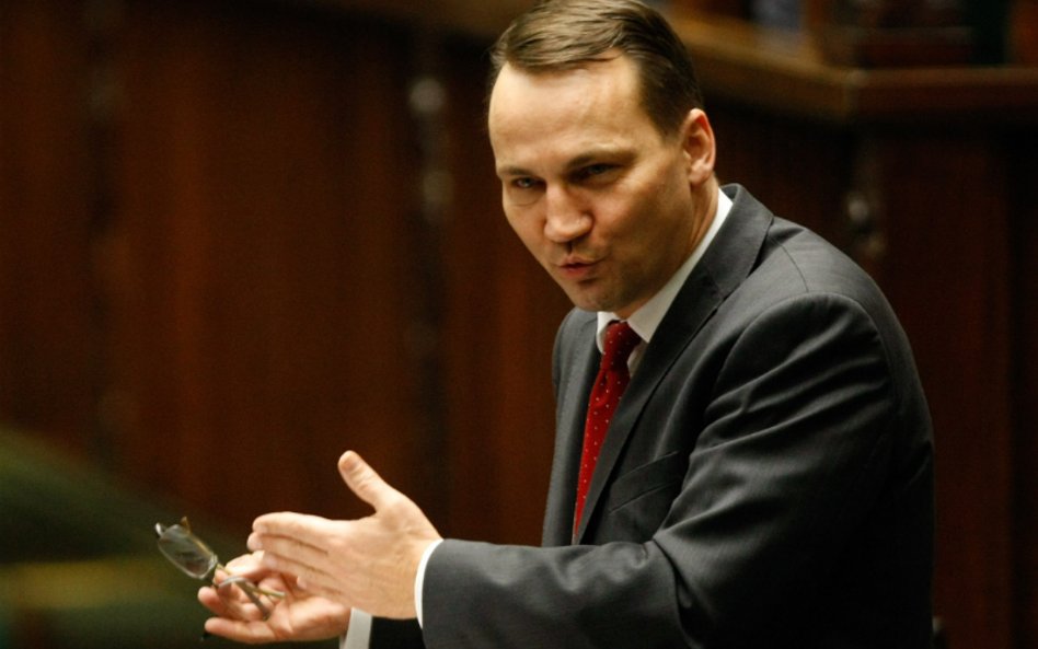 Radosław Sikorski: Z Niemcami łączy nas podobieństwo koncepcji politycznych