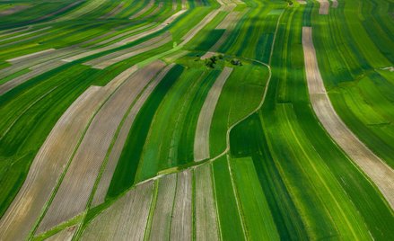 Komisja Europejska obniżyła wymagania związane z ekologią m.in. dla właścicieli gospodarstw mniejszy