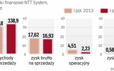 Problemem NTT System jest niska rentowność