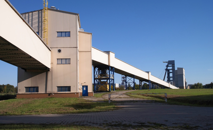 Geologia winna stracie w Bogdance