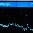 Spółki z WIG20: przychody w górę, ale zyski zaczęły już topnieć