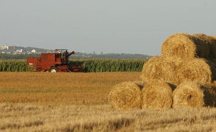 Polskim spółkom rolnym daleko na GPW