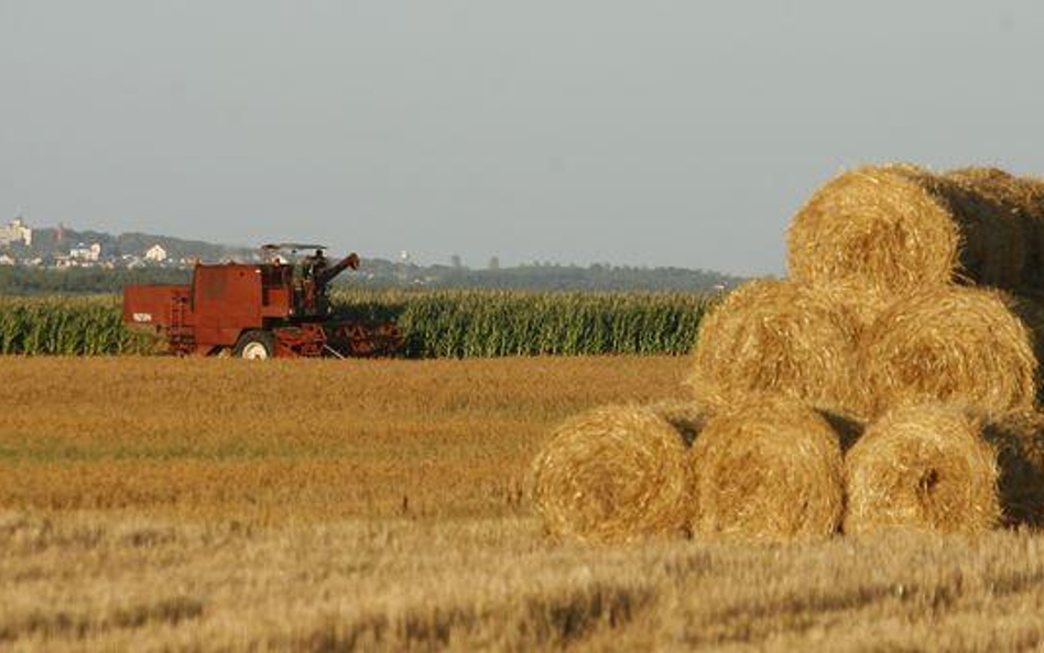 Polskim spółkom rolnym daleko na GPW