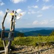 Nieruchomości: Wyjechać w Bieszczady