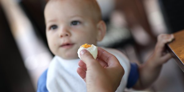 Nowe badania: Jedzenie jajek chroni małe dzieci pr