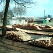 Sprzedaż sklejki napędza wyniki Pagedu