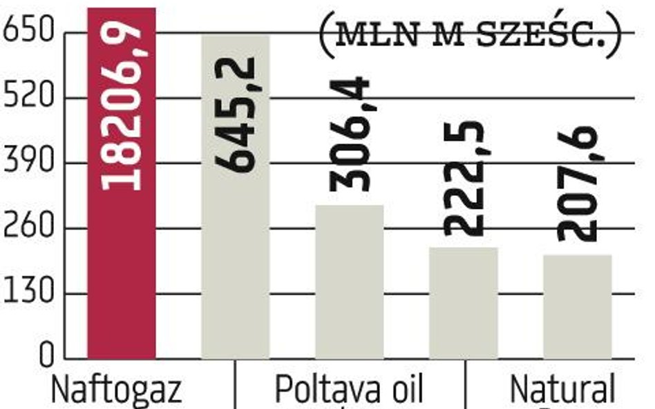 Celem zarządu jest wzrost wydobycia gazu