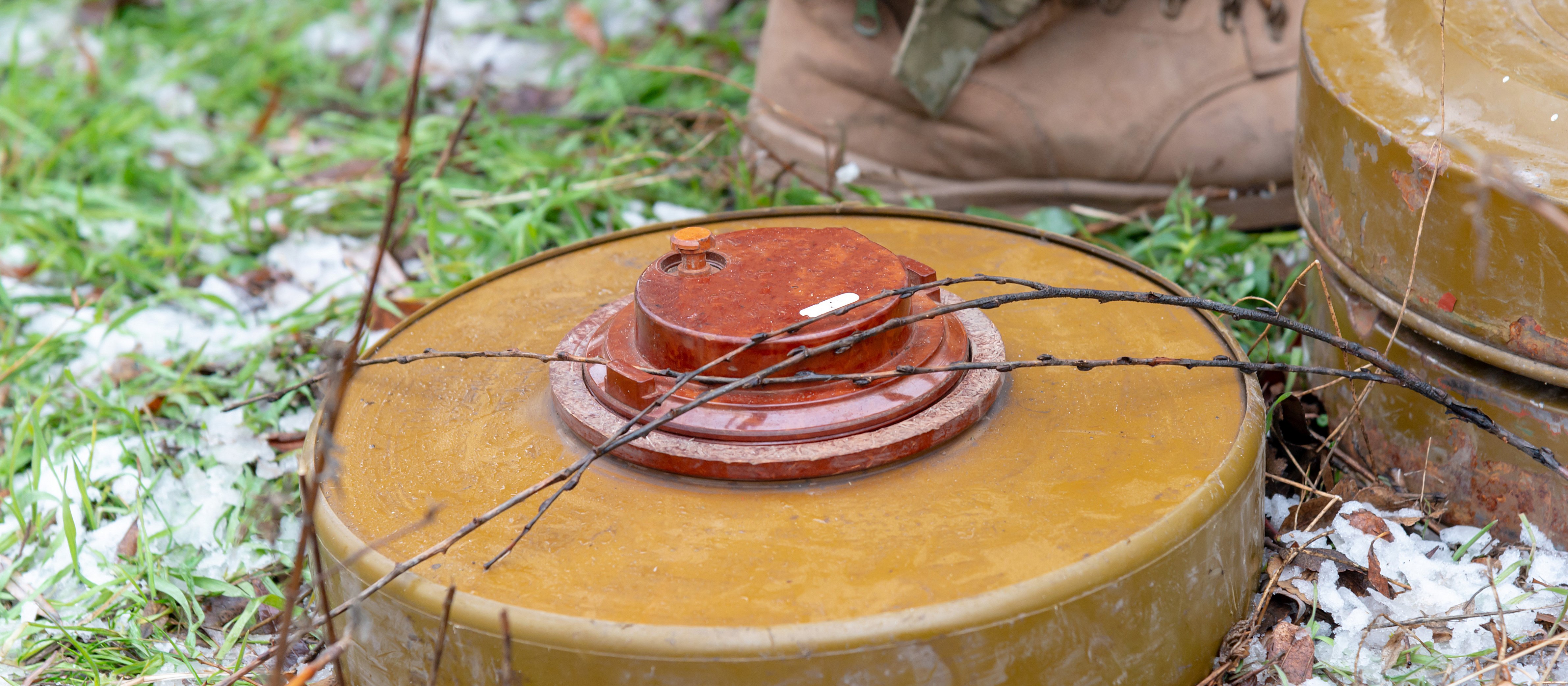 Jak zaminujemy granicę z Białorusią i Rosją