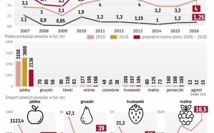 Produkcja rośnie, ceny na huśtawce