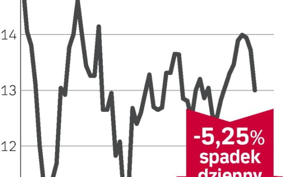 TVN liderem spadków w WIG20
