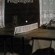 Pomarcowe przeciwciała