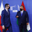 Michał Szułdrzyński: Polak, Węgier w oślej ławce
