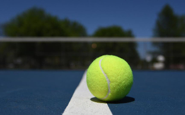 Puchar Davisa: Tenis sprzedaje rodowe srebra