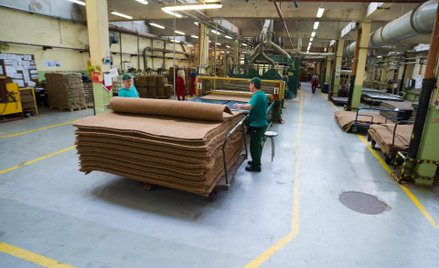 Po 50-tce wrócimy do nauki