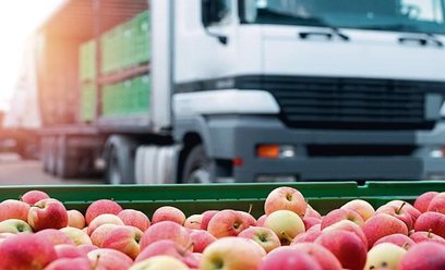 Jabłka to jeden z polskich hitów eksportowych.