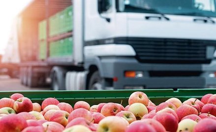 Jabłka to jeden z polskich hitów eksportowych.