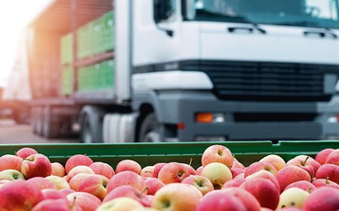 Eksport polskiej żywności i surowców rolnych wyniósł w 2019 r.: 31,8 mld euro, a saldo w handlu żywn
