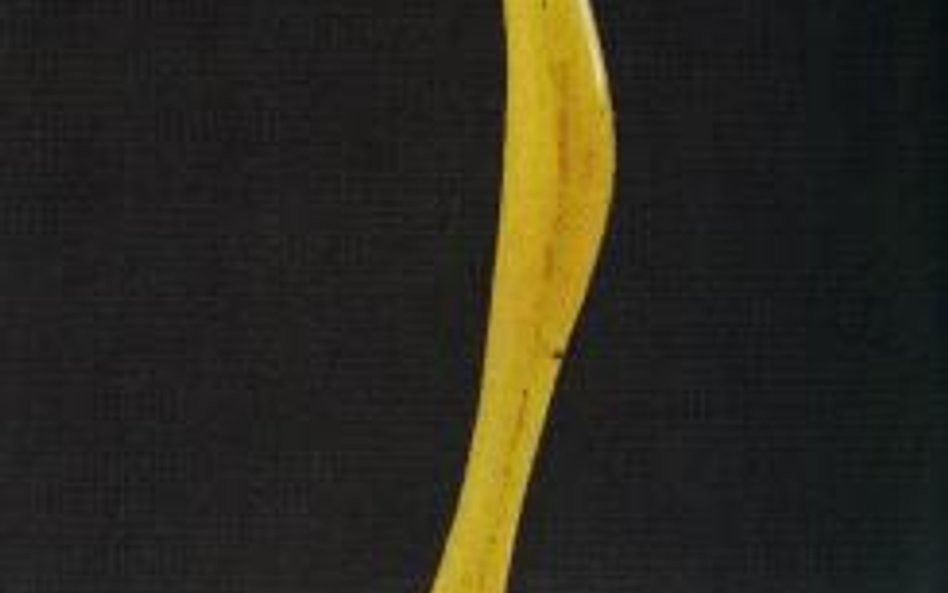 Alina Szapocznikow Kroczące usta, polyester, ok. 1966, fot. Galeria Starmach