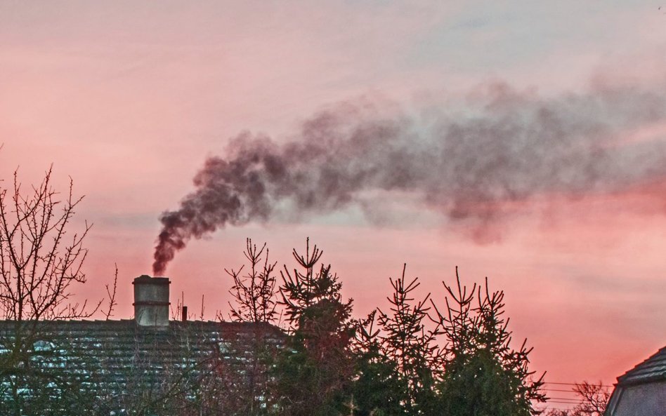 „Kopciuchy” będą truły jeszcze przez sto lat?