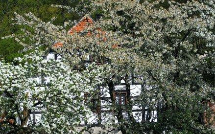 Zagroda Młyńska przyciąga coraz więcej turystów