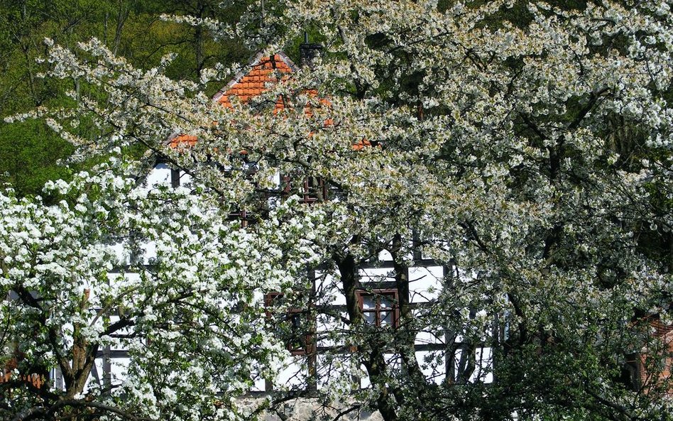 Zagroda Młyńska przyciąga coraz więcej turystów