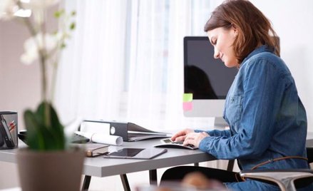 W porównaniu z sierpniem 2025 r. wzrost przeciętnego zatrudnienia odnotowano w sekcjach: administrow