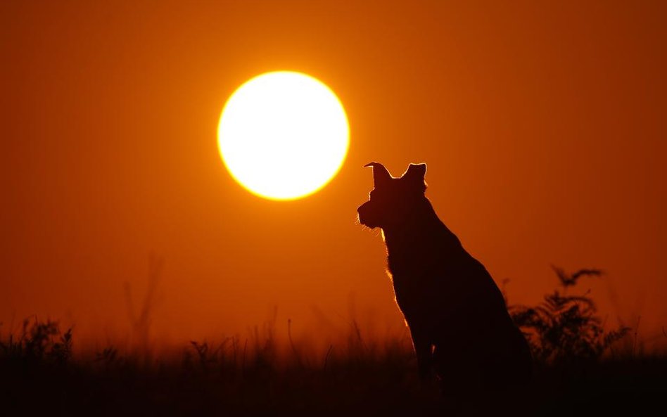 10 najdroższych katastrof klimatycznych 2018 r. Straty idą w miliardy dolarów. A będzie gorzej