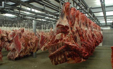 Rolnicy zaczęli zbiórkę podpisów za przywróceniem uboju rytualnego