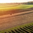 Komunikat MRiRW w sprawie wysokości stawek płatności bezpośrednich 2025