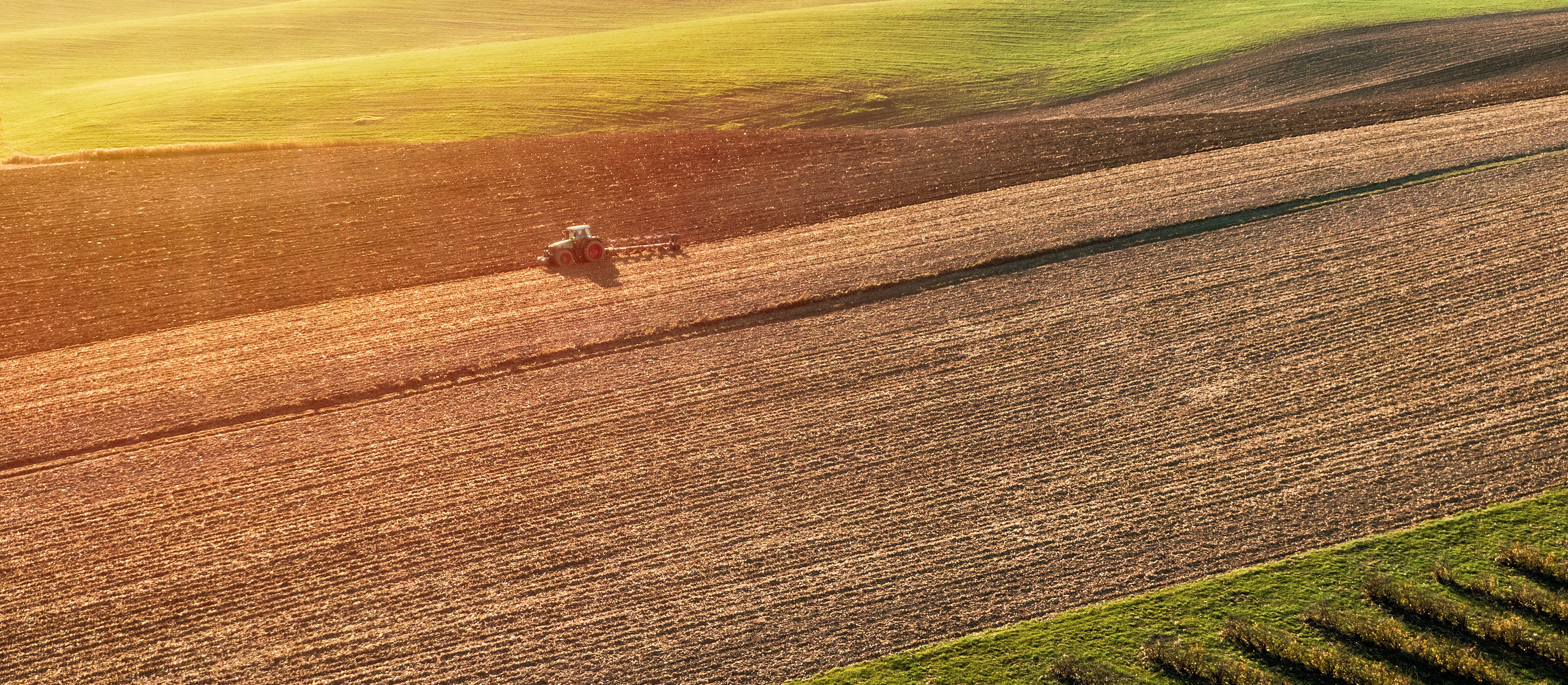 Nowe stawki dopłat dla rolników. Ministerstwo podało dokładne kwoty
