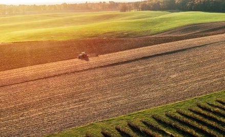 Komunikat MRiRW w sprawie wysokości stawek płatności bezpośrednich 2025