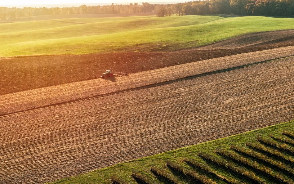 Komunikat MRiRW w sprawie wysokości stawek płatności bezpośrednich 2025
