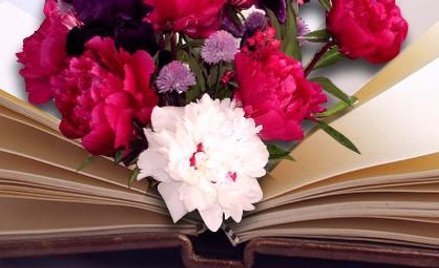 Kwiaty mówią wierszem i prozą