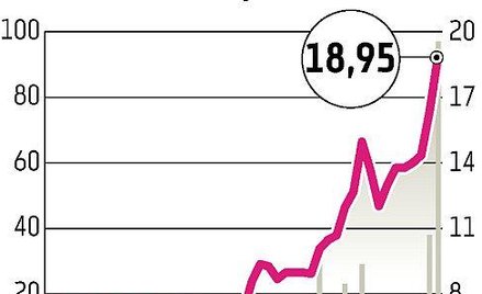 Muza: Łapczywe zakupy przed wezwaniem?