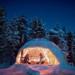 Freedomes oferuje m.in. namioty sferyczne pełniące rolę mieszkalną i szklarni