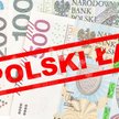 Polski Ład: Dzieci partnera nie dają ulgi 4 plus
