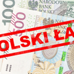 Prowadzący jednoosobową działalność szacują, ile stracą na Polskim Ładzie
