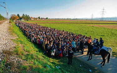 Idą na Berlin, idą muzułmanie... Tłum uchodźców w pobliżu granicy słoweńsko-austriackiej, październi