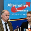 Michał Płociński: AfD umocni PiS