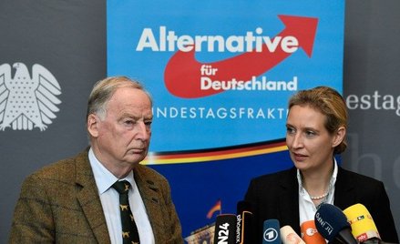 Michał Płociński: AfD umocni PiS