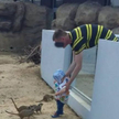 Zamojskie zoo opublikowało zdjęcie mężczyzny, który wsadził małe dziecko na wybieg dla surykatek