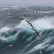 Zdaniem ekspertów z Instytutu Badań nad Skutkami Klimatu w Poczdamie zakwaszenie oceanów zbliża się 