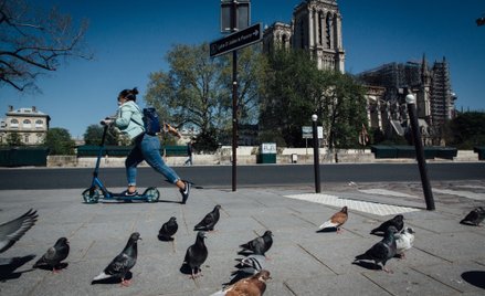 Katedra Notre-Dame w Paryżu