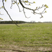 Kupiła działkę leśną, a miała być budowlana