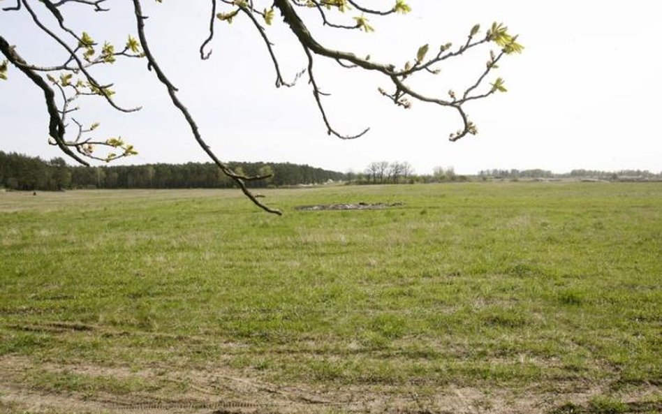 Kupiła działkę leśną, a miała być budowlana