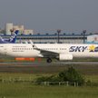 ANA a nie Delta ma ratować Skymarka