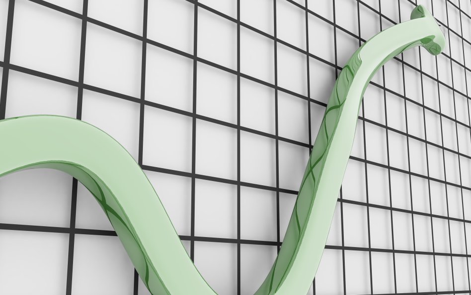 Rekordowy rok na rynku prospektowych emisji obligacji