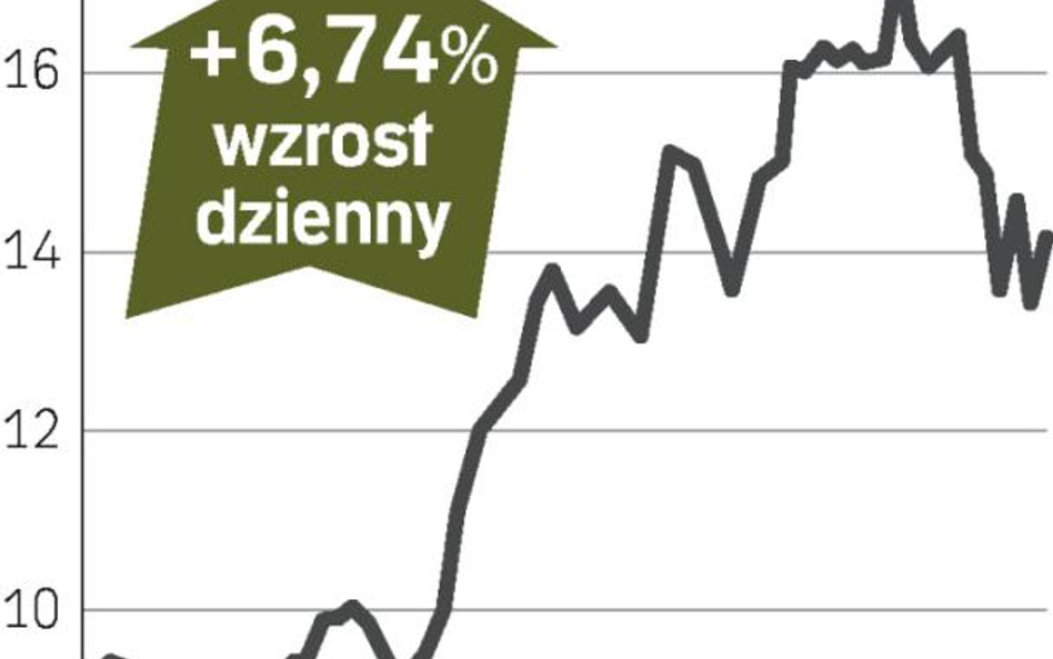 Umocnienie na pozycji lidera